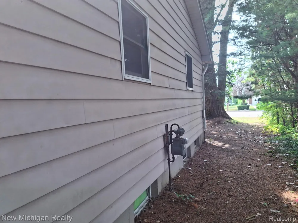 2433 Willow Street Deckerville Village, MI 48427