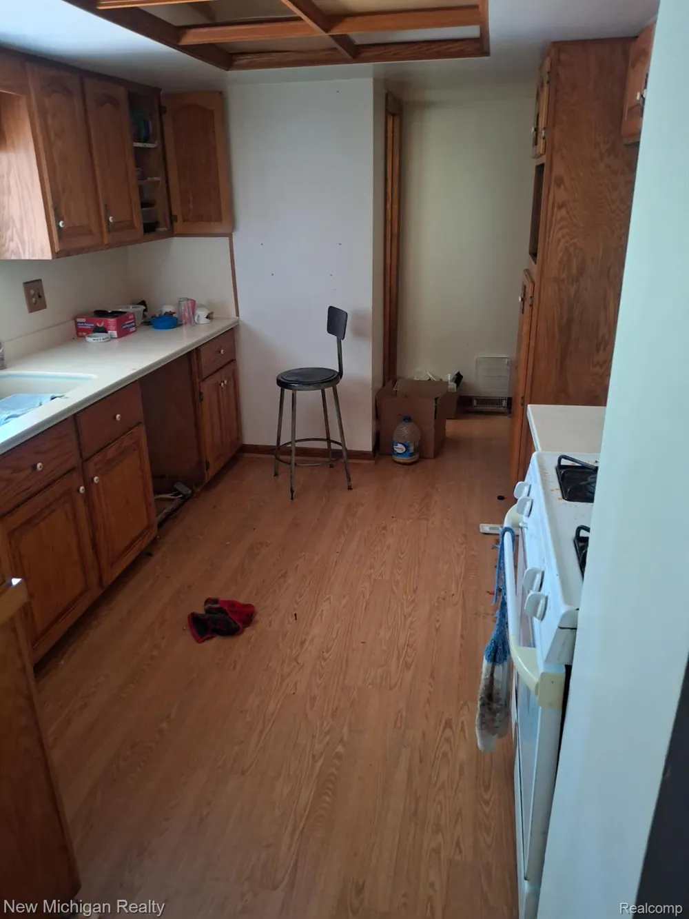 2433 Willow Street Deckerville Village, MI 48427