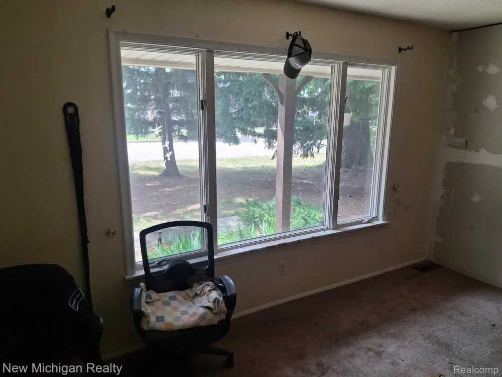 2433 Willow Street Deckerville Village, MI 48427