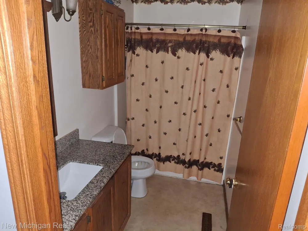 2433 Willow Street Deckerville Village, MI 48427