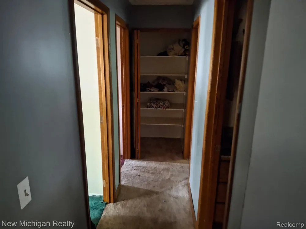 2433 Willow Street Deckerville Village, MI 48427