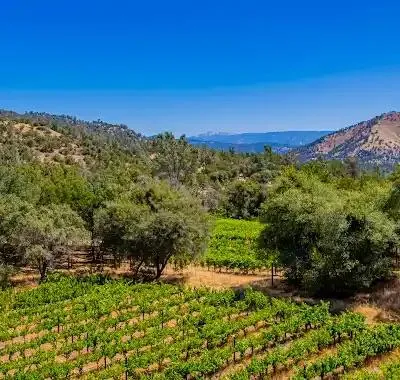 49610 House Ranch Road O Neals, CA 93645