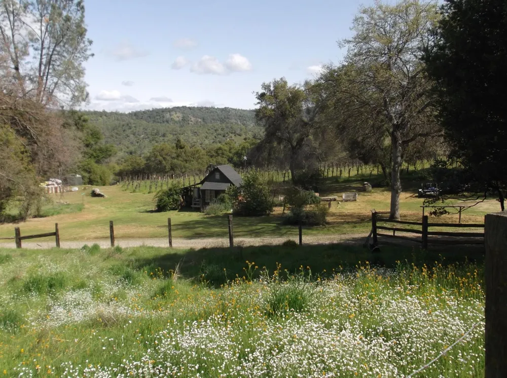 49610 House Ranch Road O Neals, CA 93645