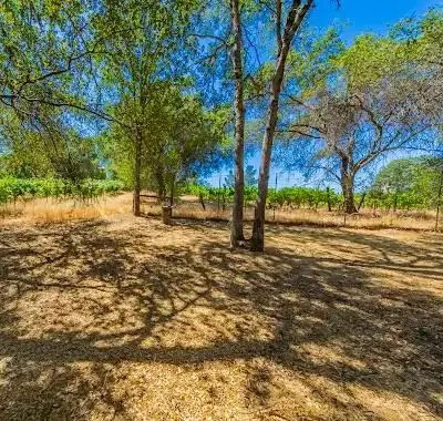 49610 House Ranch Road O Neals, CA 93645