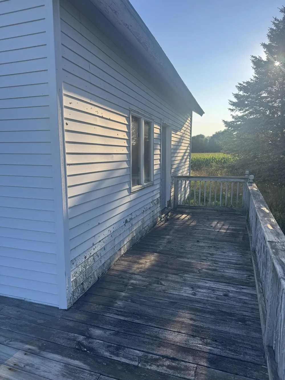 3109 E Sugar Grove Road Custer, MI 49405