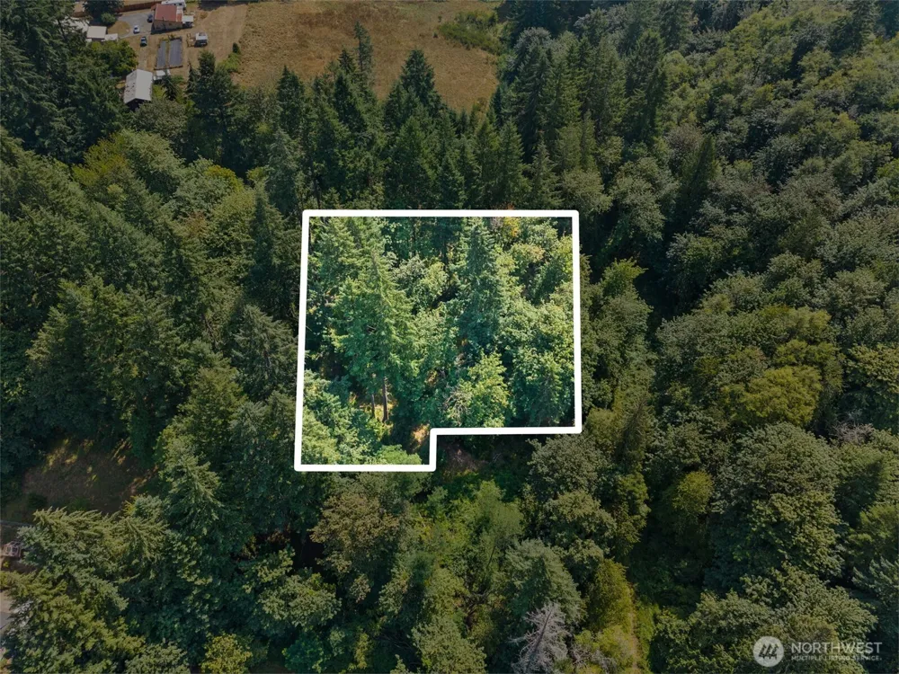 0 SE Ash Lot 1 Street Winlock, WA 98596