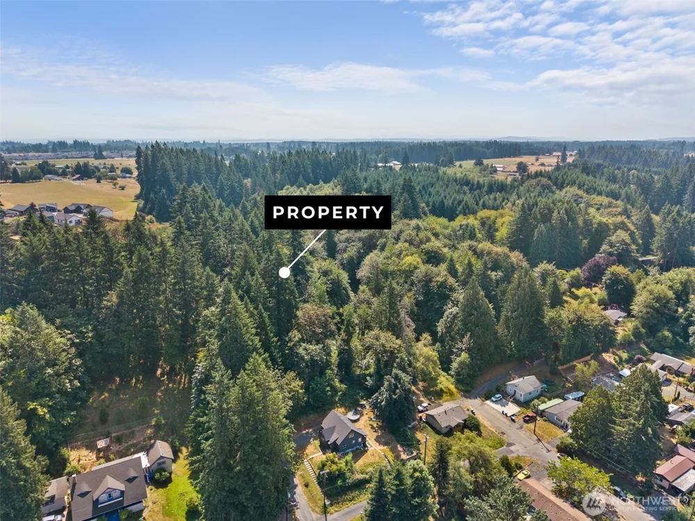 0 SE Ash Lot 1 Street Winlock, WA 98596