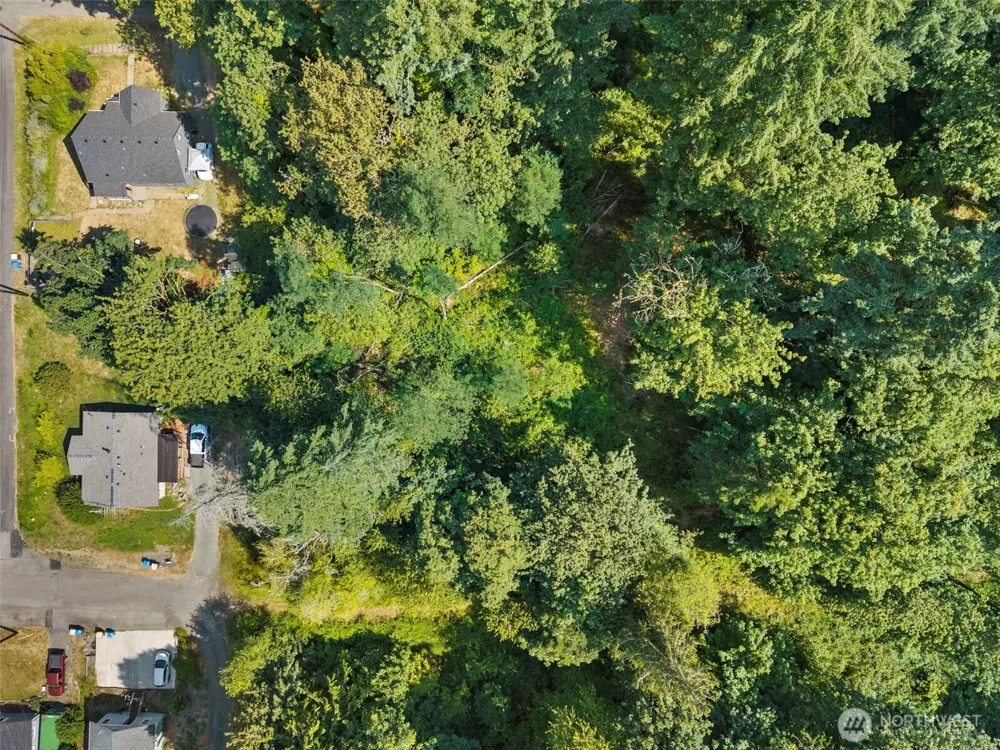 0 SE Ash Lot 1 Street Winlock, WA 98596