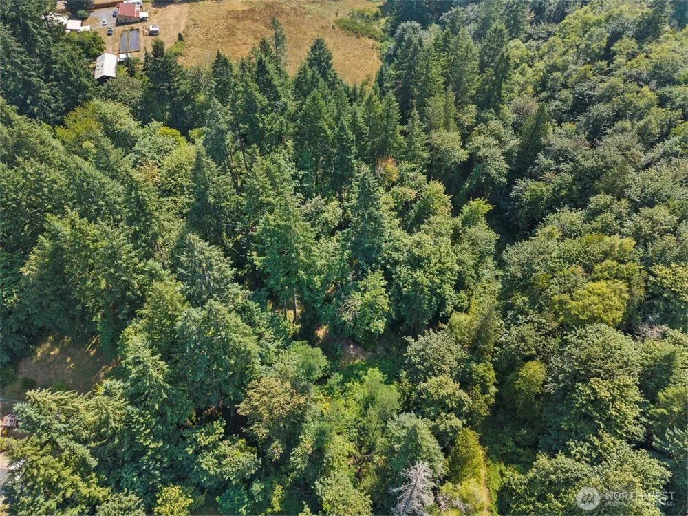 0 SE Ash Lot 1 Street Winlock, WA 98596