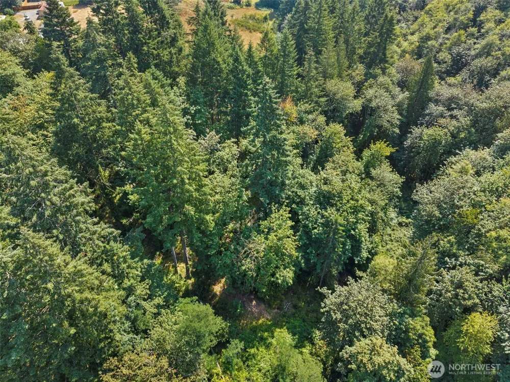 0 SE Ash Lot 1 Street Winlock, WA 98596