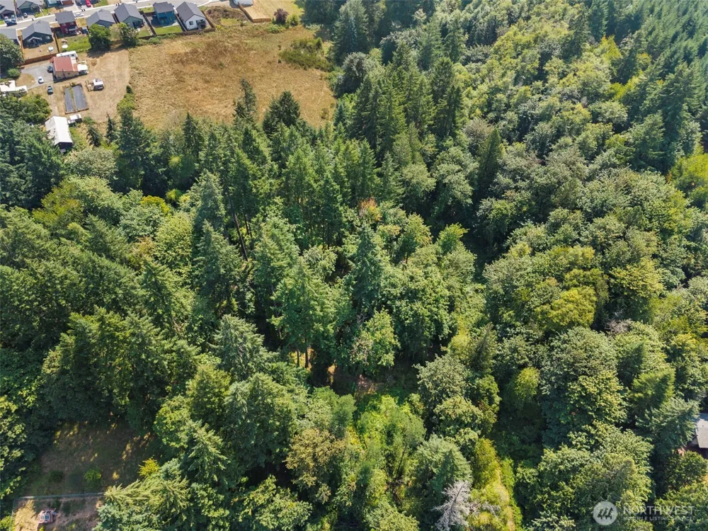 0 SE Ash Lot 1 Street Winlock, WA 98596