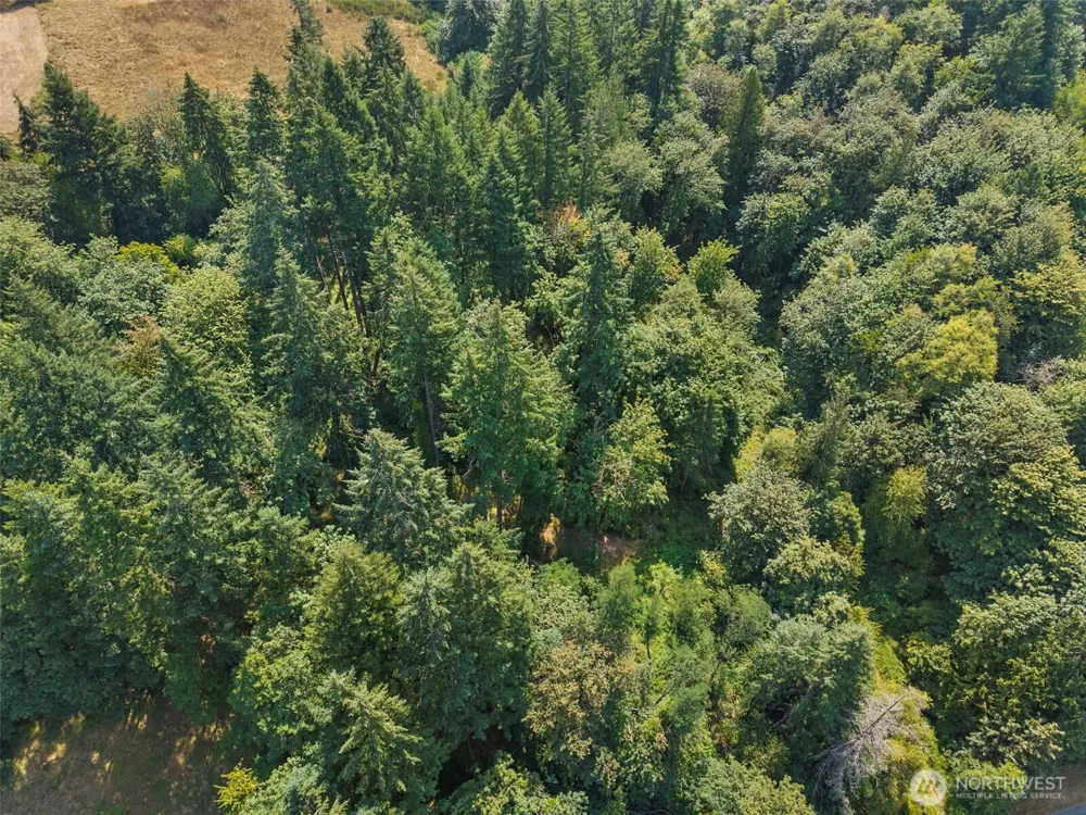 0 SE Ash Lot 1 Street Winlock, WA 98596