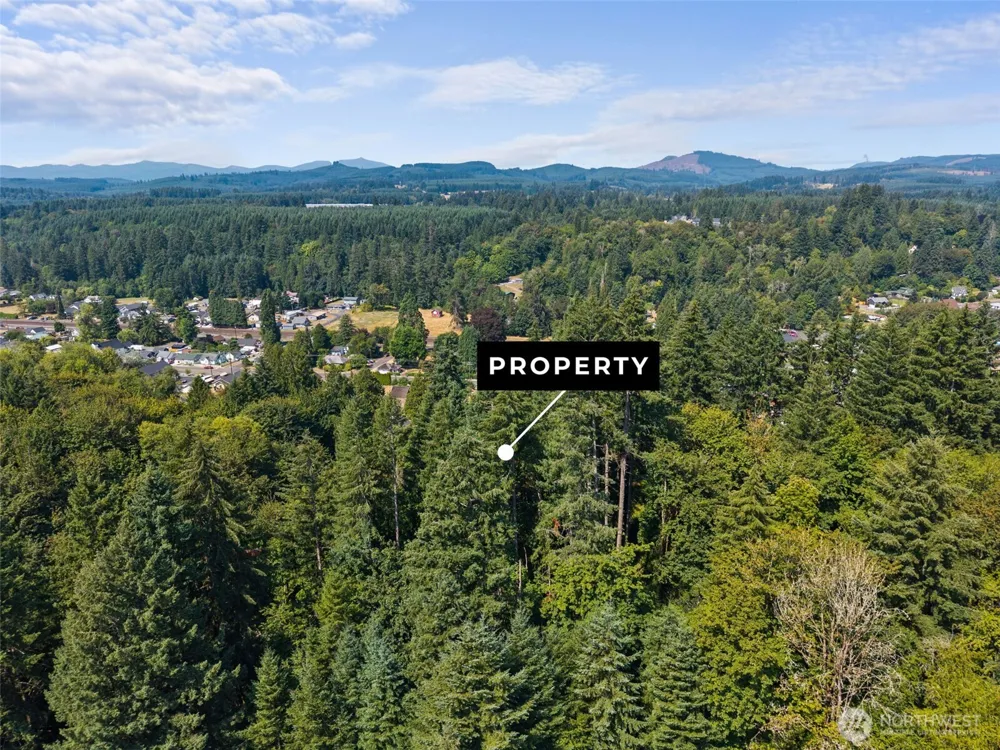 0 SE Ash Lot 1 Street Winlock, WA 98596