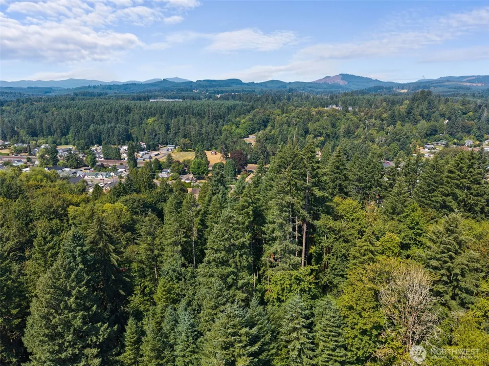 0 SE Ash Lot 1 Street Winlock, WA 98596