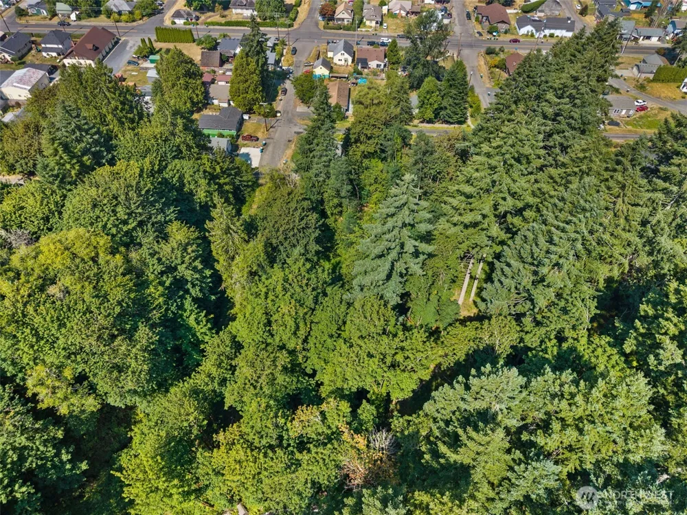 0 SE Ash Lot 1 Street Winlock, WA 98596
