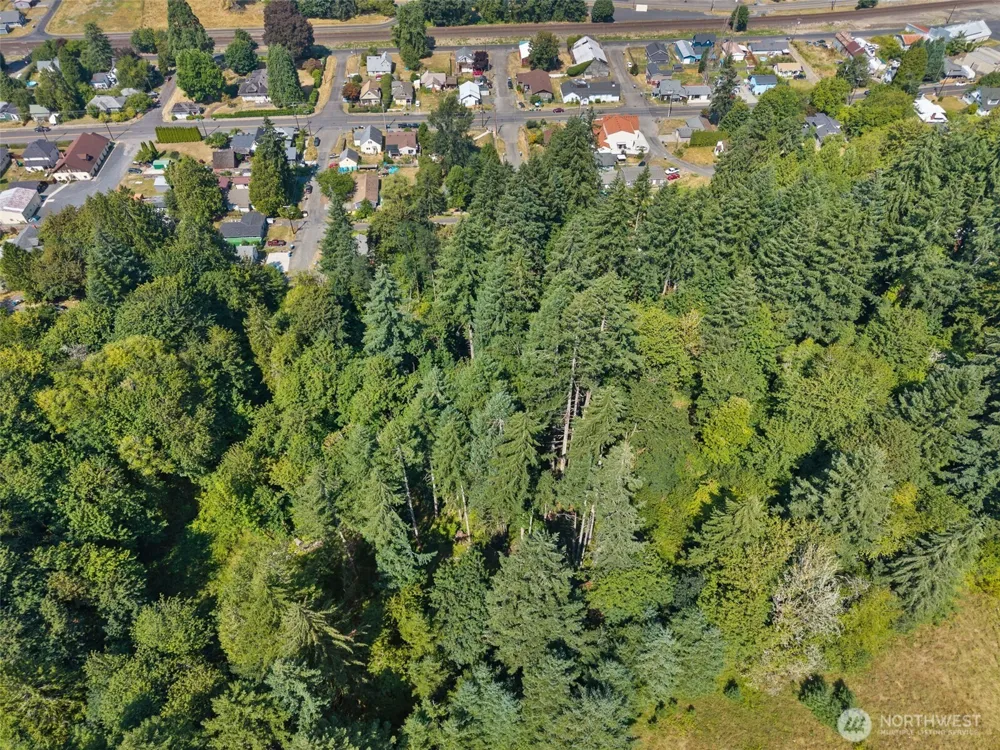 0 SE Ash Lot 1 Street Winlock, WA 98596
