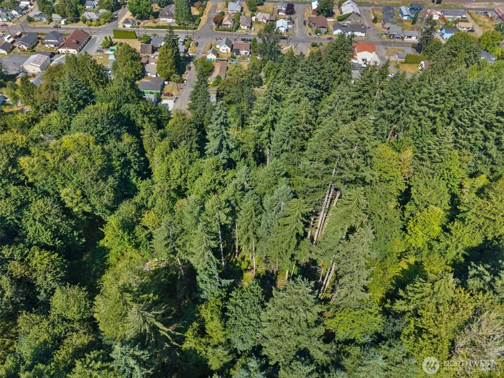 0 SE Ash Lot 1 Street Winlock, WA 98596