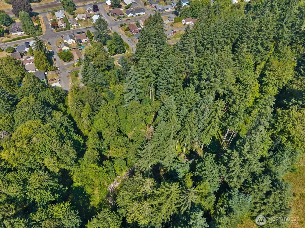 0 SE Ash Lot 1 Street Winlock, WA 98596