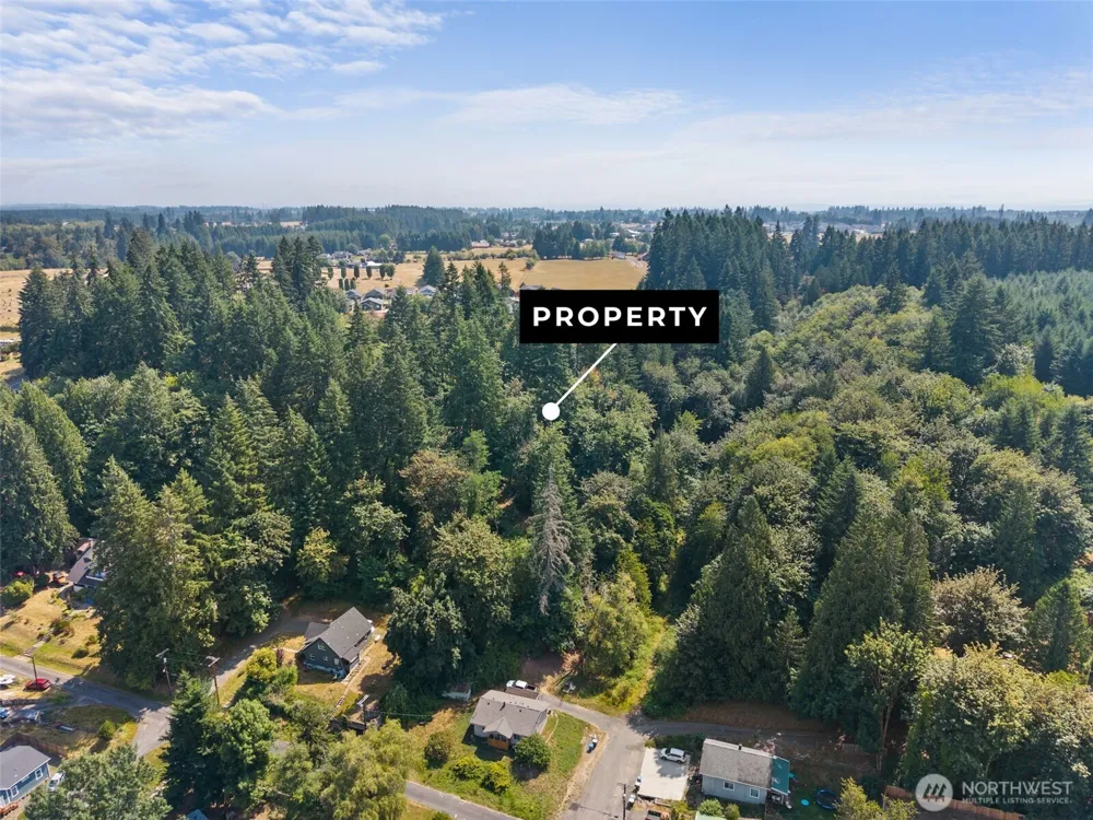 0 SE Ash Lot 1 Street Winlock, WA 98596