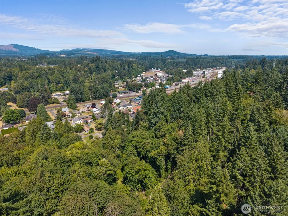 0 SE Ash Lot 1 Street Winlock, WA 98596