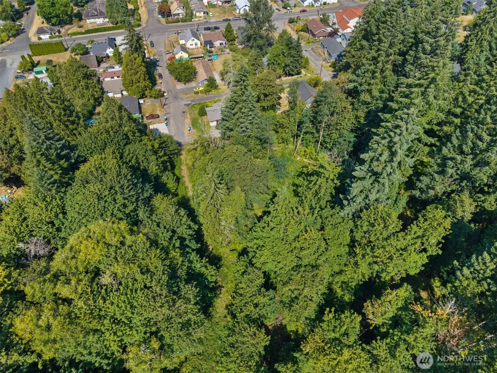 0 SE Ash Lot 1 Street Winlock, WA 98596