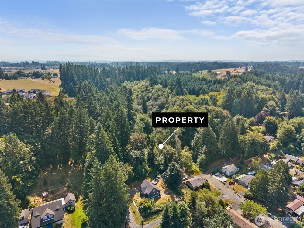 0 SE Ash Lot 1 Street Winlock, WA 98596