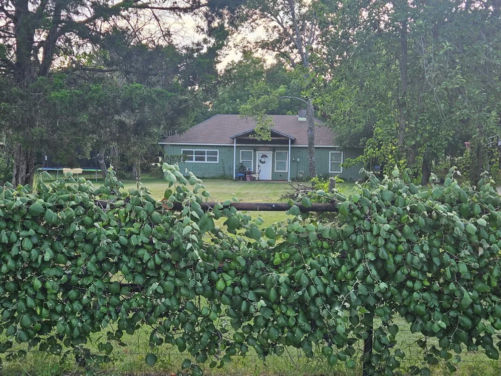 138 County Road 4876 Newark, TX 76071