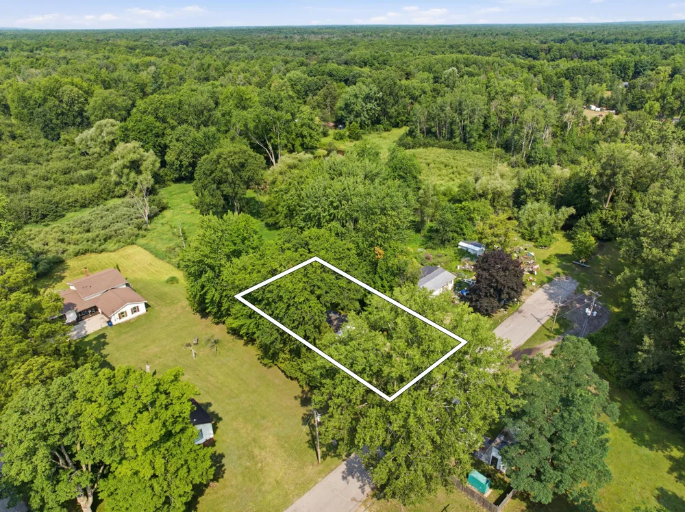 217 Muencher Street Howard City, MI 49329