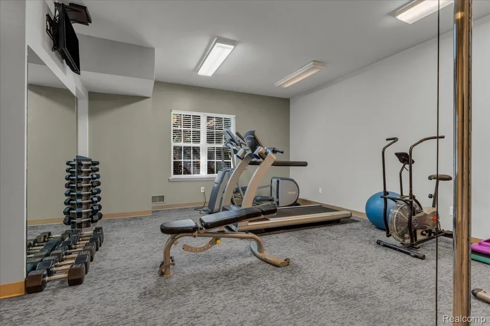 831 Plum Village Drive Raisinville Township, MI 48161