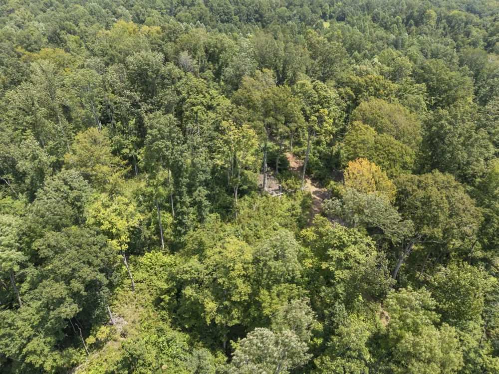 0 Slayden Wood Rd Vanleer, TN 37181