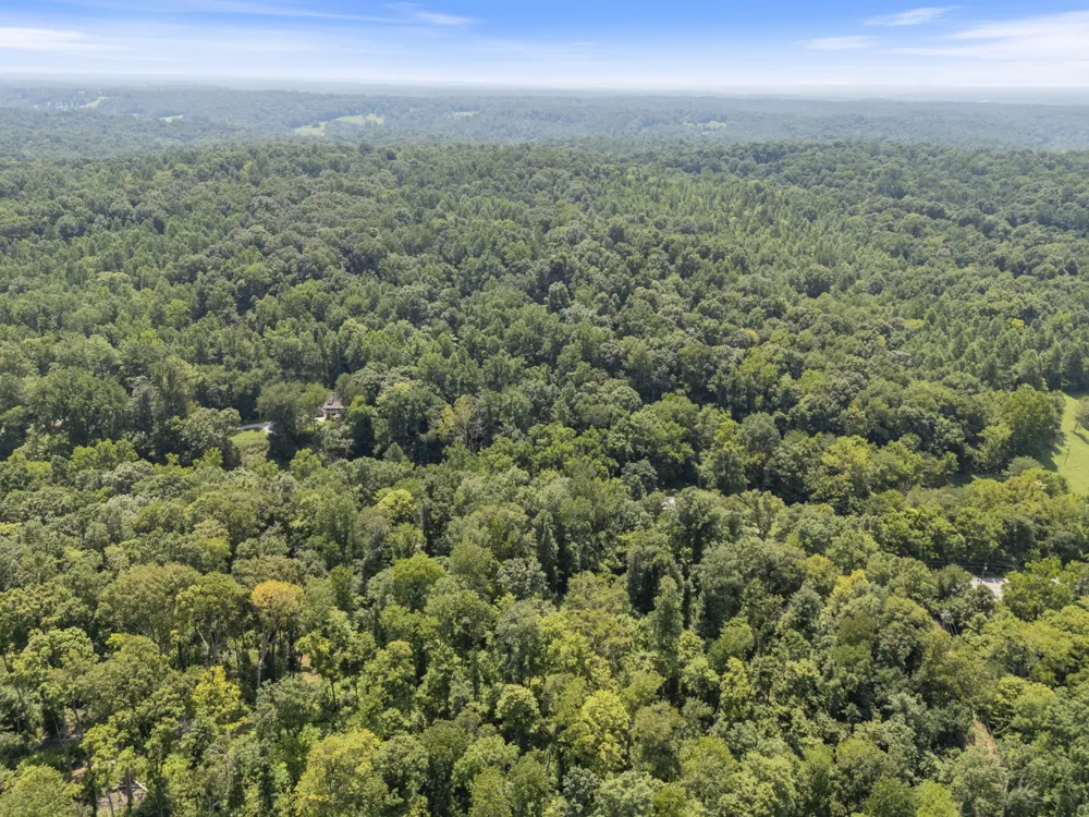 0 Slayden Wood Rd Vanleer, TN 37181