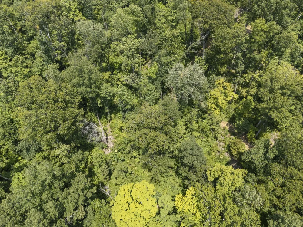 0 Slayden Wood Rd Vanleer, TN 37181