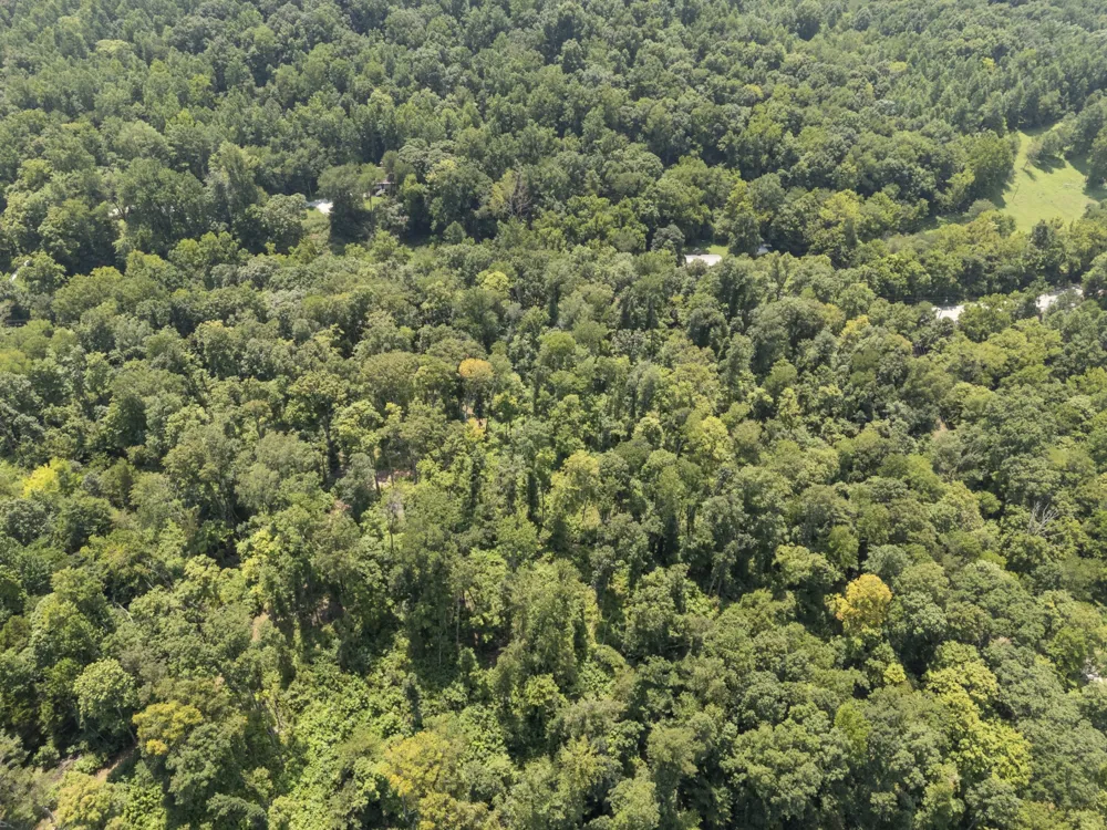 0 Slayden Wood Rd Vanleer, TN 37181