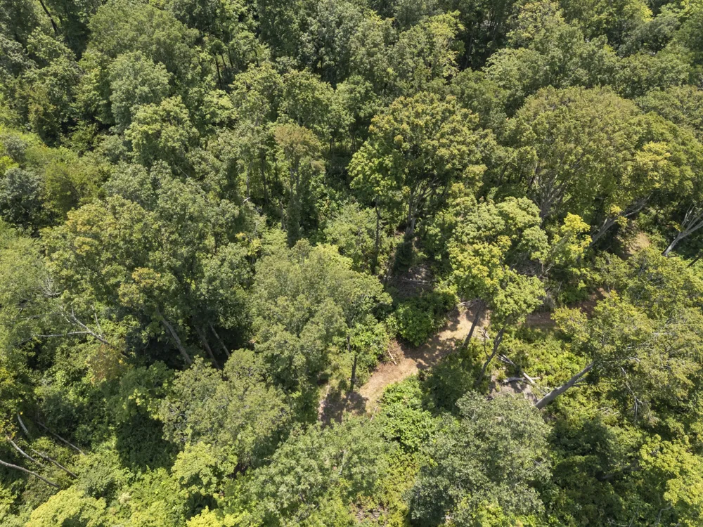 0 Slayden Wood Rd Vanleer, TN 37181