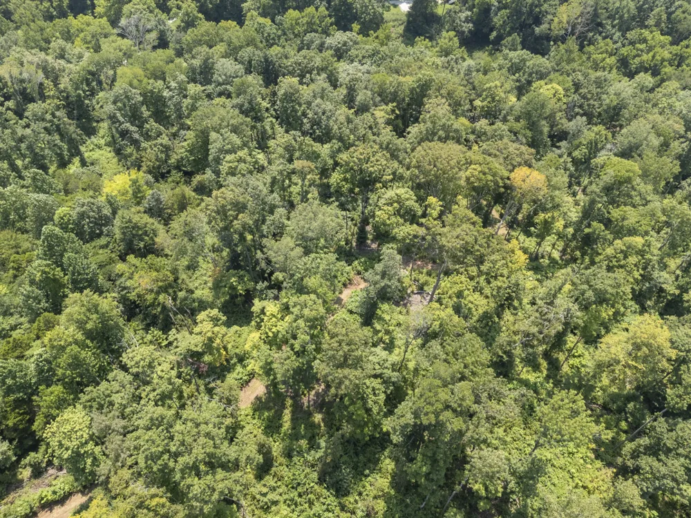 0 Slayden Wood Rd Vanleer, TN 37181