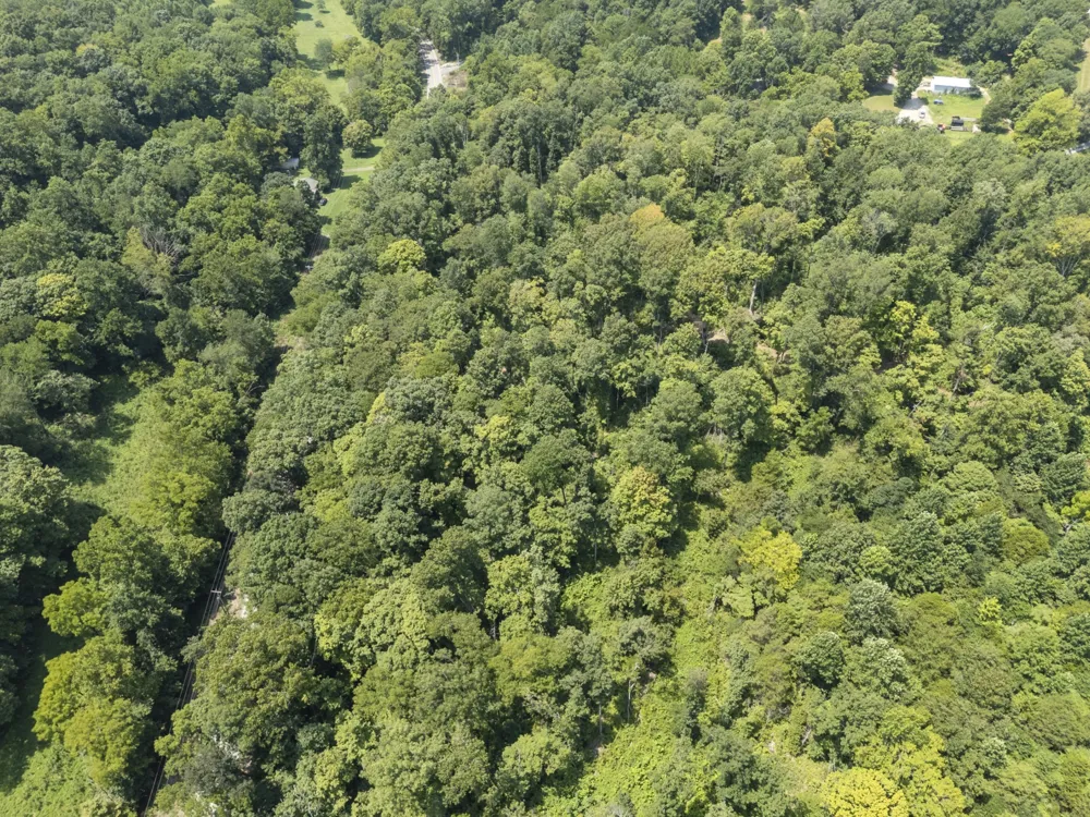 0 Slayden Wood Rd Vanleer, TN 37181
