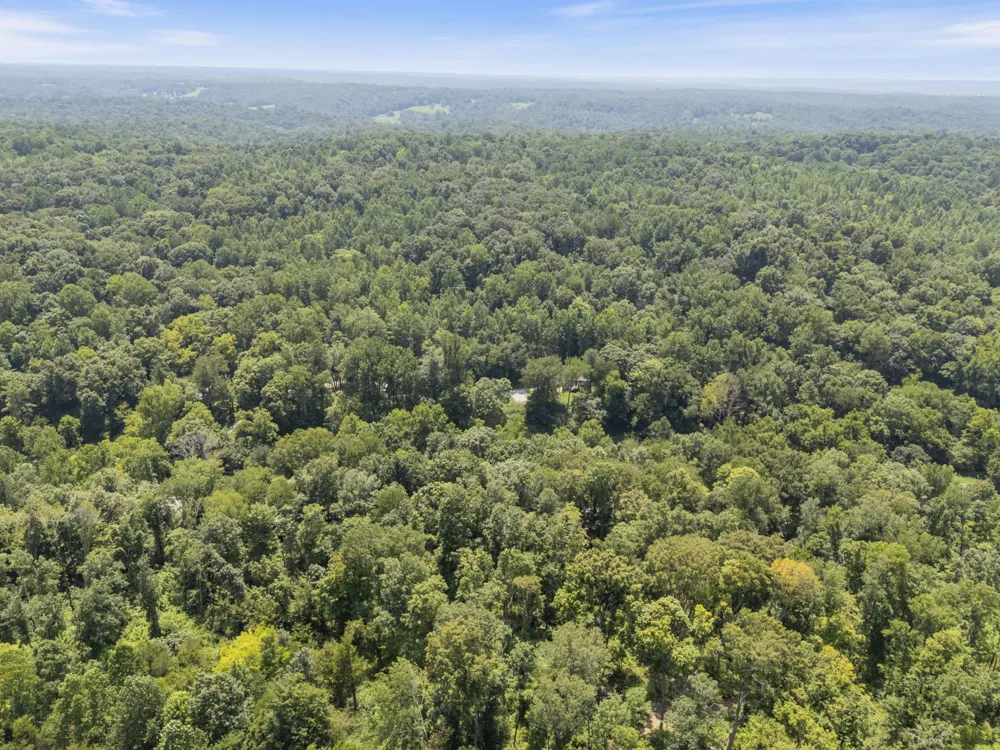 0 Slayden Wood Rd Vanleer, TN 37181