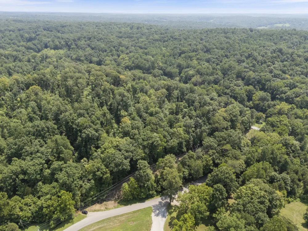 0 Slayden Wood Rd Vanleer, TN 37181