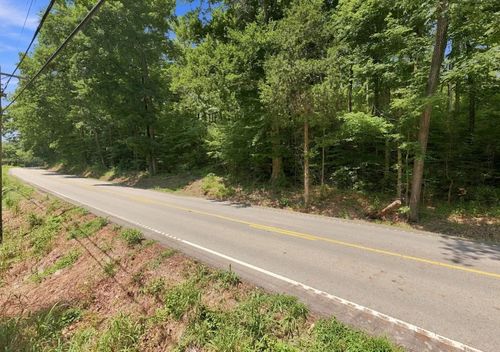 0 Slayden Wood Rd Vanleer, TN 37181