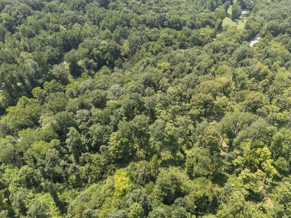 0 Slayden Wood Rd Vanleer, TN 37181