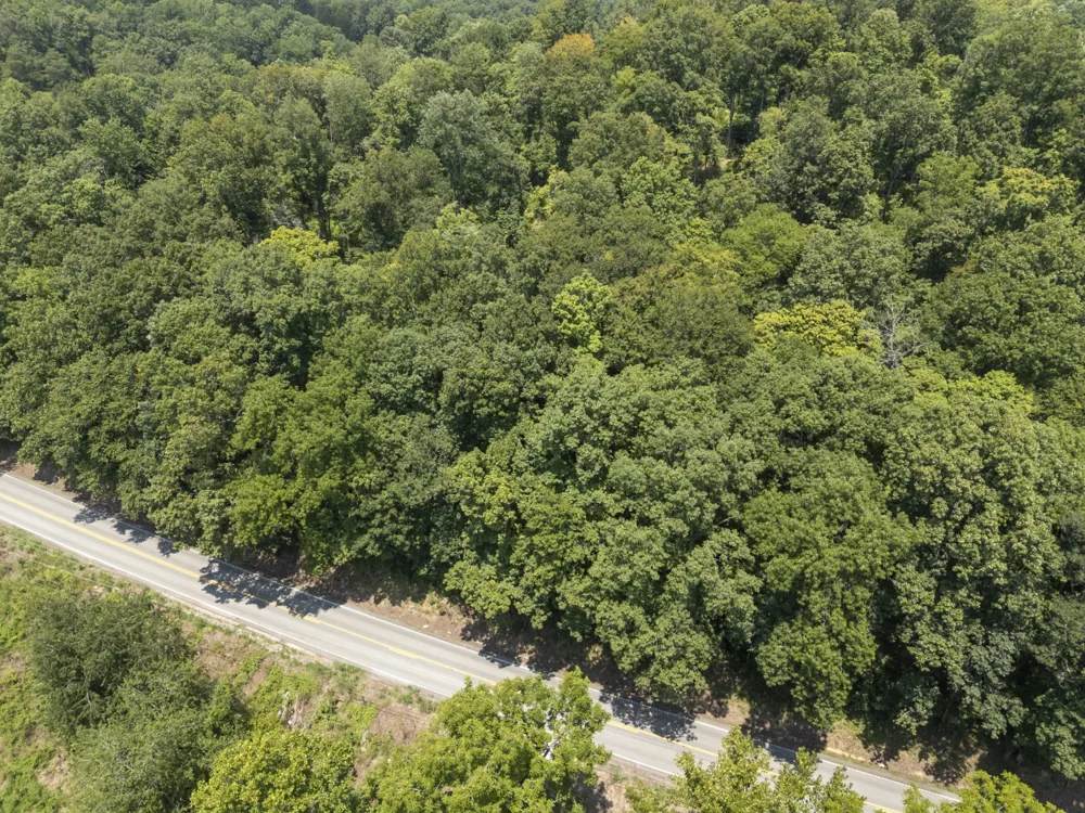 0 Slayden Wood Rd Vanleer, TN 37181