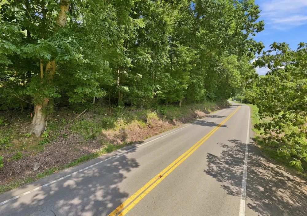 0 Slayden Wood Rd Vanleer, TN 37181