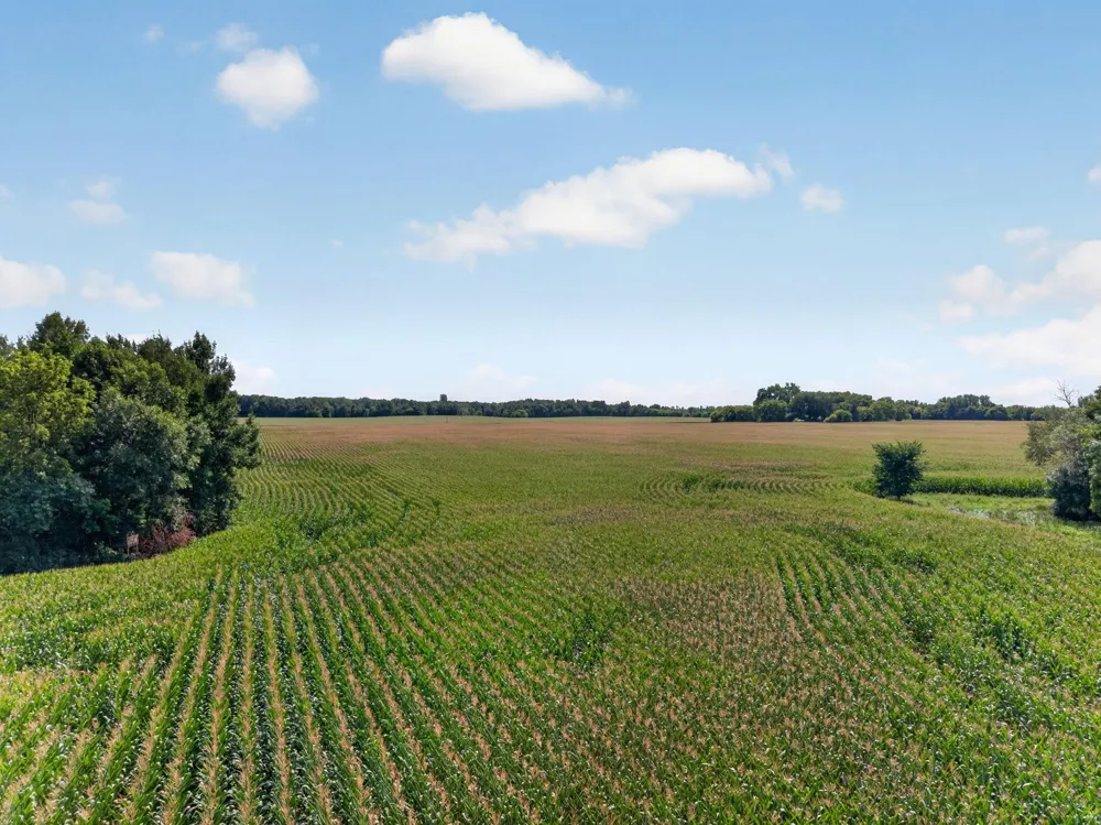 7xxx 373rd Avenue NW Dalbo, MN 55017