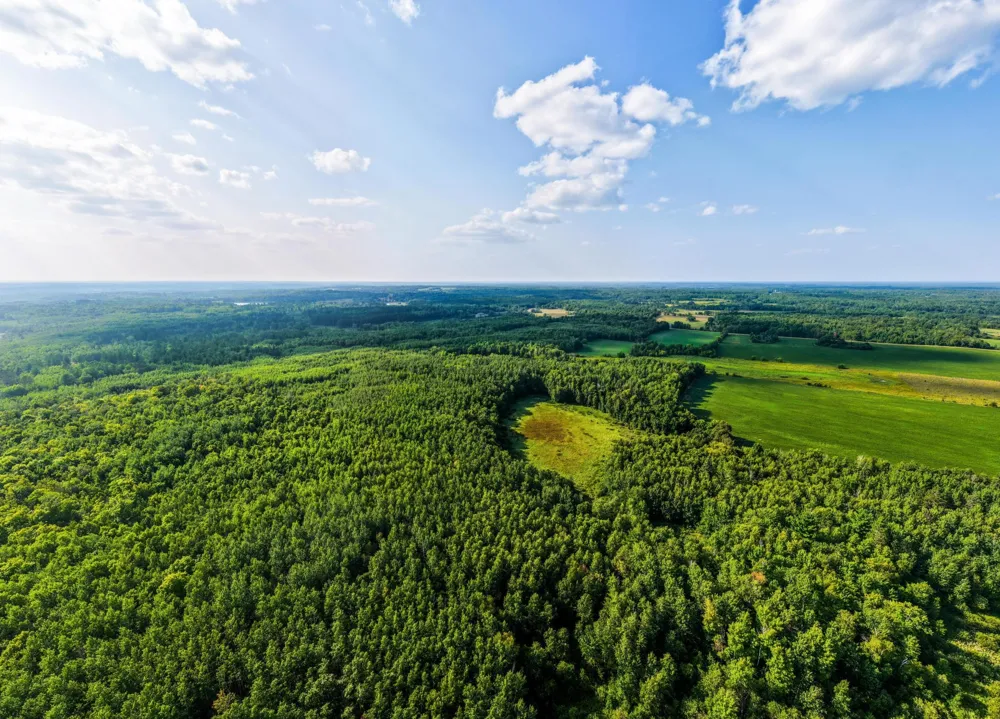 NA Spencer Road NW Shevlin, MN 56676