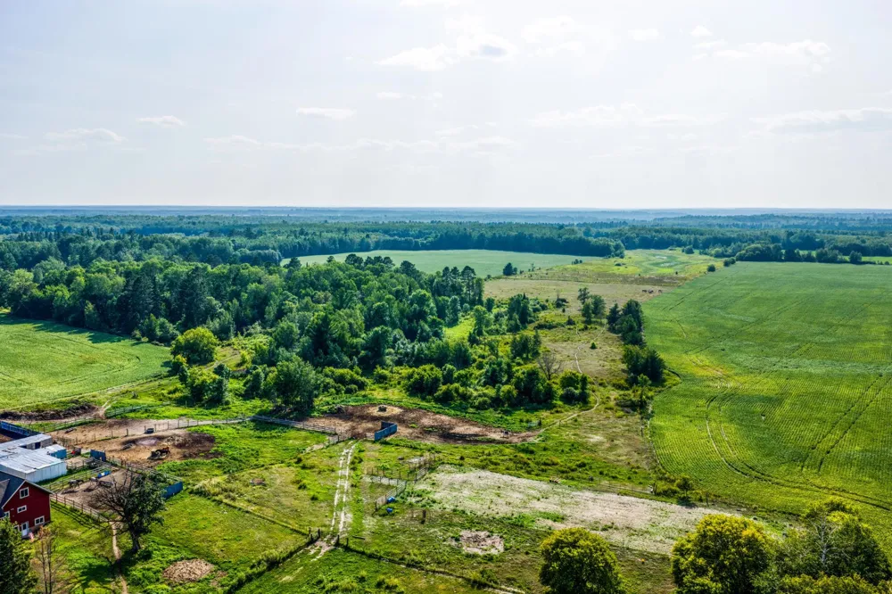 NA Spencer Road NW Shevlin, MN 56676