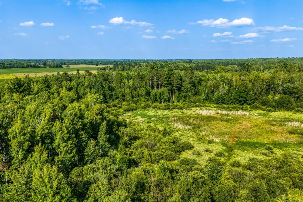 TBD Buzzle Road NW Shevlin, MN 56676