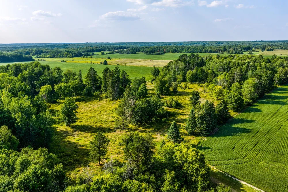 TBD Buzzle Road NW Shevlin, MN 56676