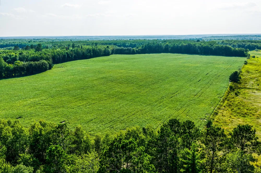 TBD Buzzle Road NW Shevlin, MN 56676