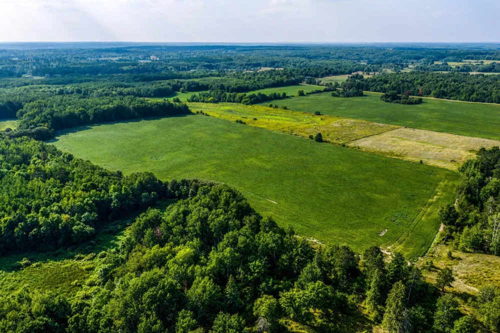TBD Buzzle Road NW Shevlin, MN 56676