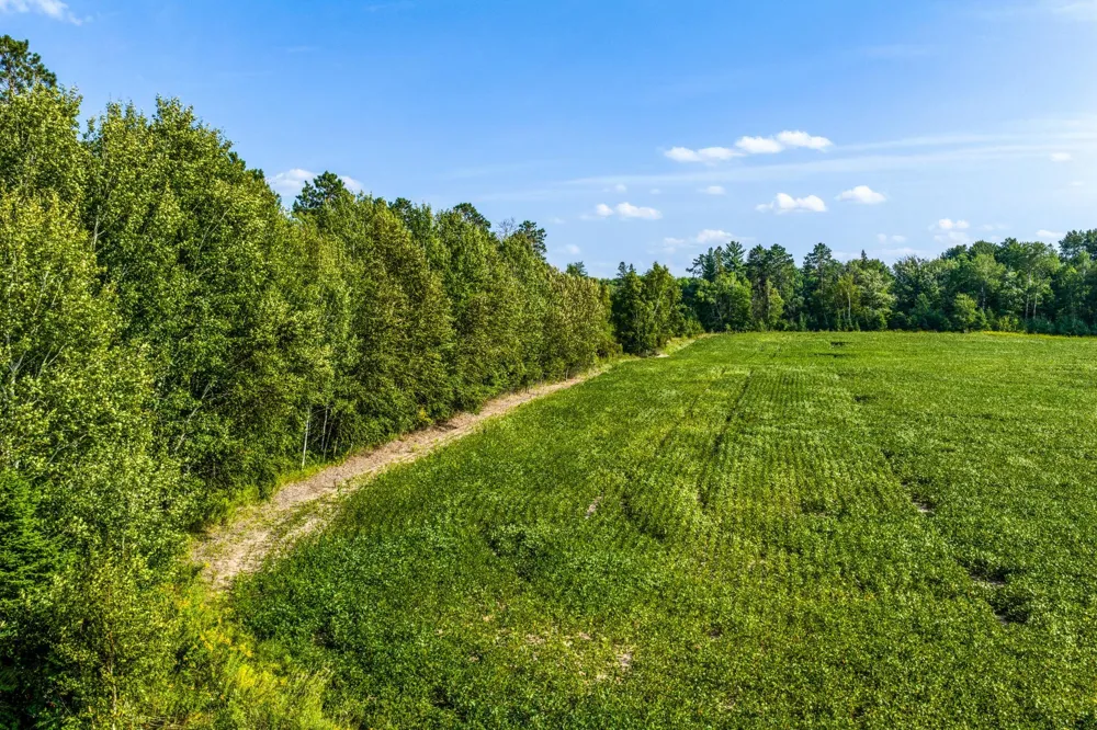 TBD Buzzle Road NW Shevlin, MN 56676